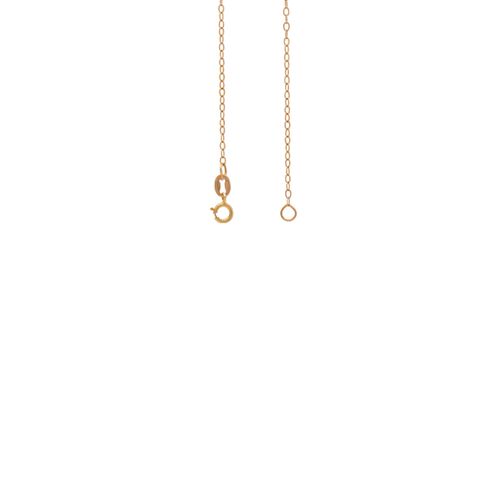 Cadena Forcet Oro Rosa